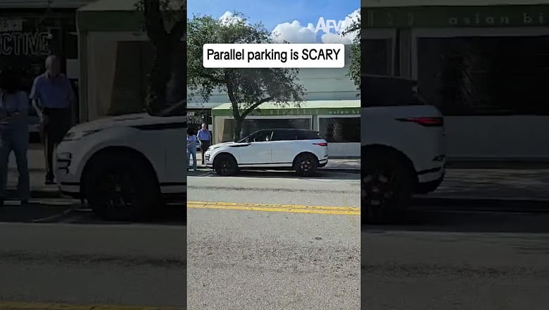 Parallel parking is SCARY