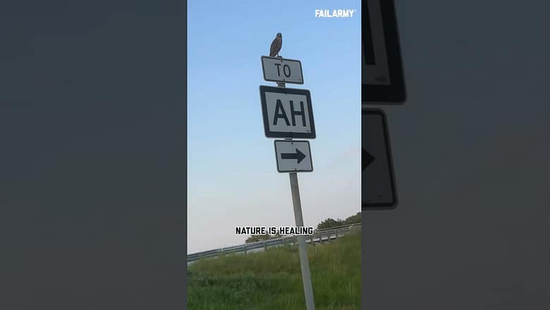 Hawk Tuah IRL