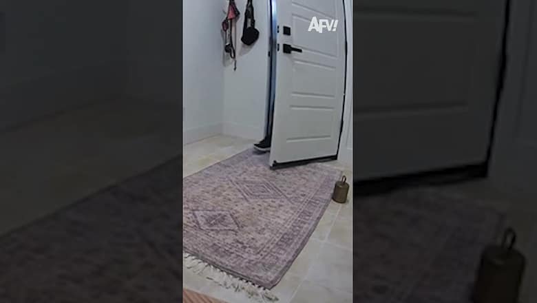 I did not expect this intruder in my house