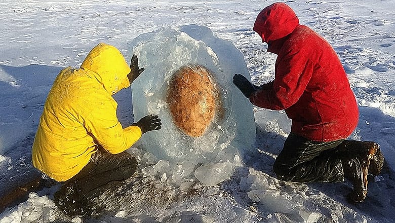 Scientists Found a Mysterious Sea Monster Egg in Antarctica