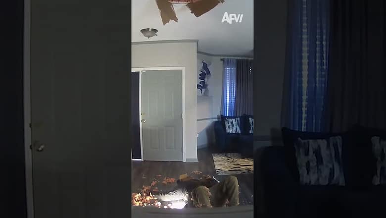 This guy was checking why the upstairs floor was creaking…