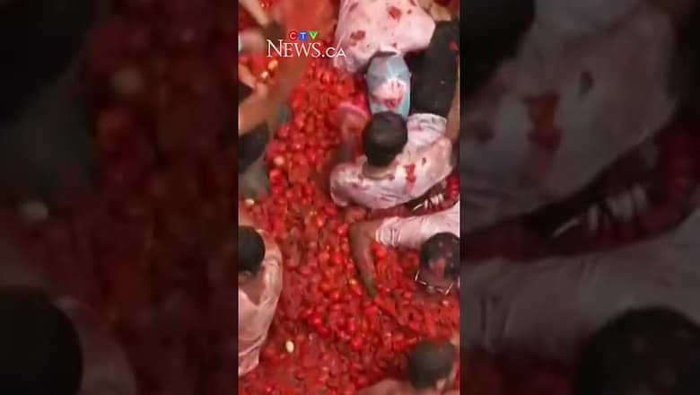 Thousands pack the streets of Spain for ‘La Tomatina’