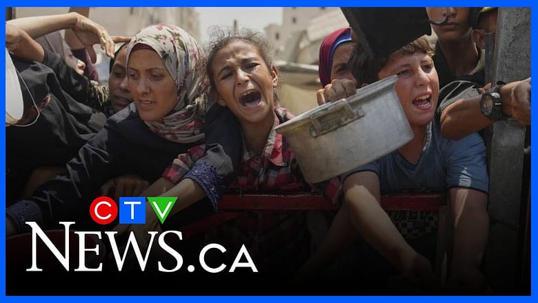 ‘We should be angry’ | WHO spokesperson on report confirming famine in Gaza