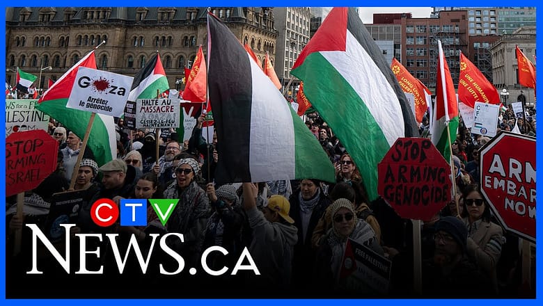 Canada joins 141 countries formally recognize Palestine in ‘significant’ statement: analyst