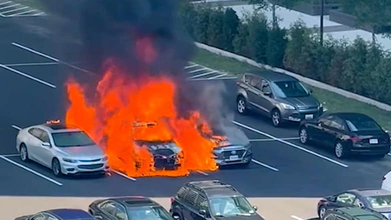 Funniest Fails of the Week | Absolute Chaos