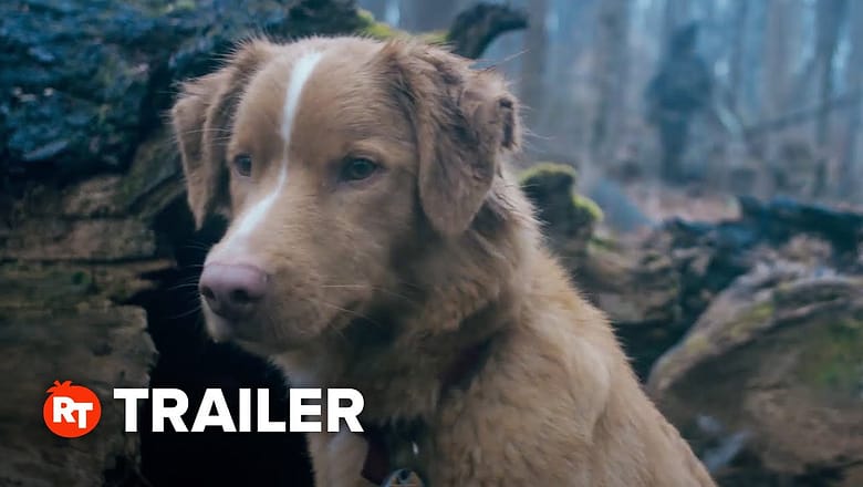 Good Boy Exclusive Trailer (2025)