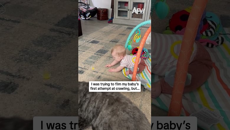 I was trying to film my baby’s first attempt at crawling, but…