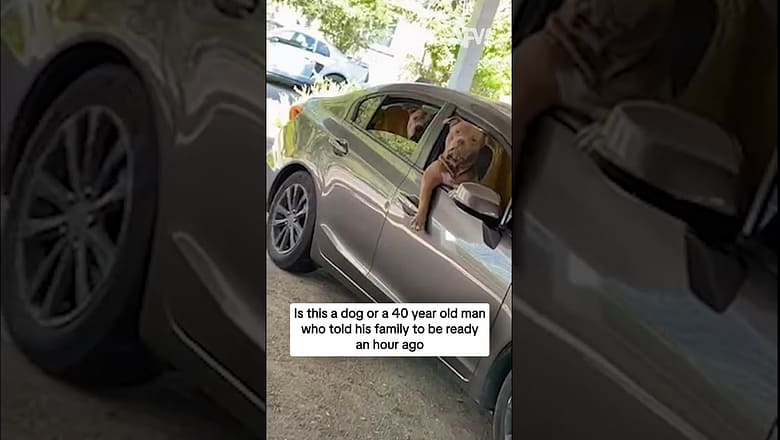 Is this a dog or a 40 year old man who told his family to be ready an hour ago?