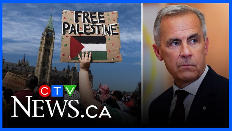 Palestinian state recognition is an effort to keep two-state solution hopes alive, expert says