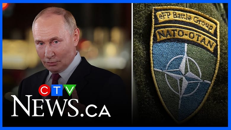 Putin ‘is the one making NATO stronger’ through conflict with Ukraine, expert says