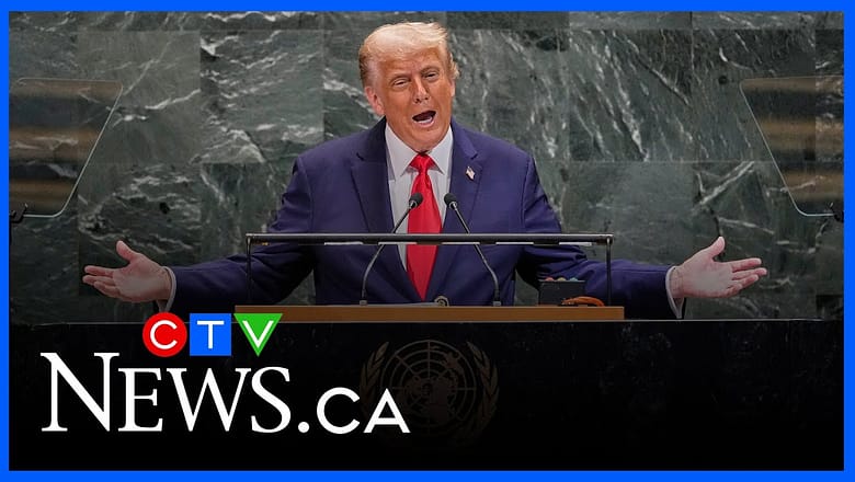 ‘Your countries are going to hell’ | Trump tells Europe to end mass migration