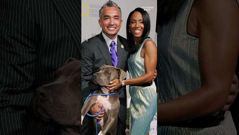 Cesar Millan shares how he began teaching Americans to connect with their dogs