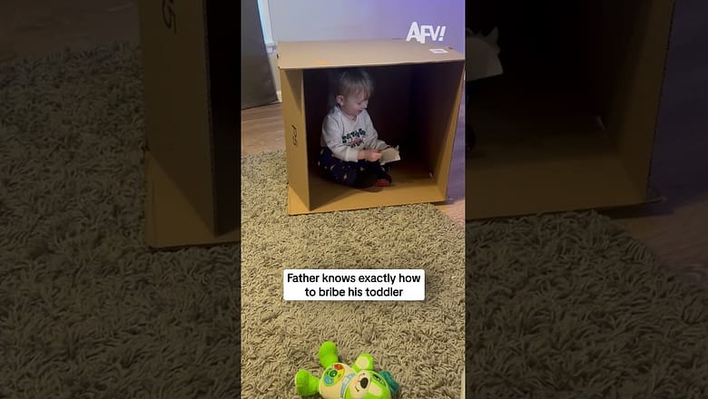 Father knows exactly how to bribe his father