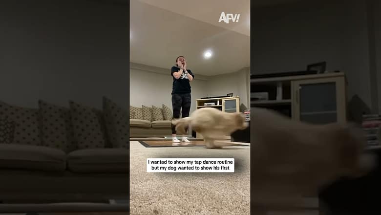 I wanted to show my tap dance routine but my dog wanted to show his first