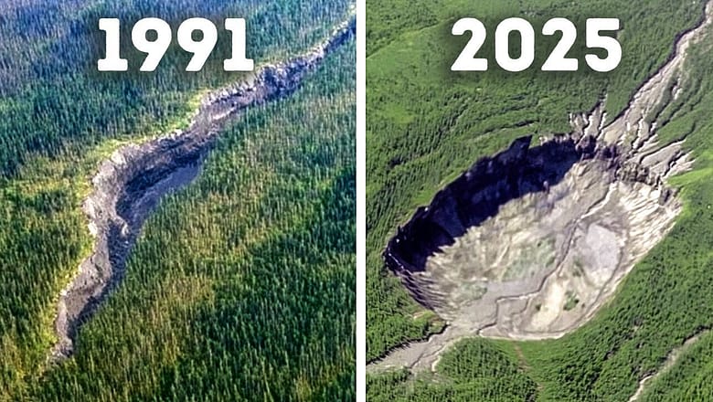 Mysterious Hole That Keeps Swallowing the Forest – No One Can Stop It