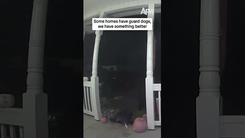 Some homes have guard dogs, we have something better