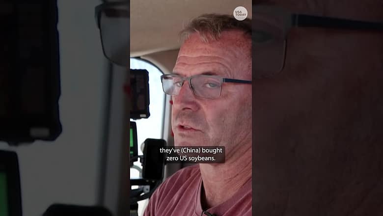 Soybean farmers hurting as effects of Trump tariffs felt across industry #Shorts
