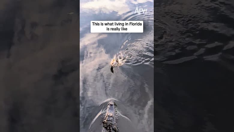 This is what living in Florida is really like