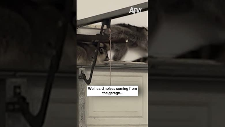 We heard noises coming from the garage…