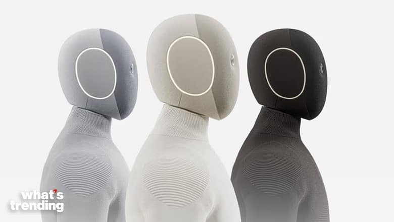 Why Critics Question the $20K Robot That Does Chores