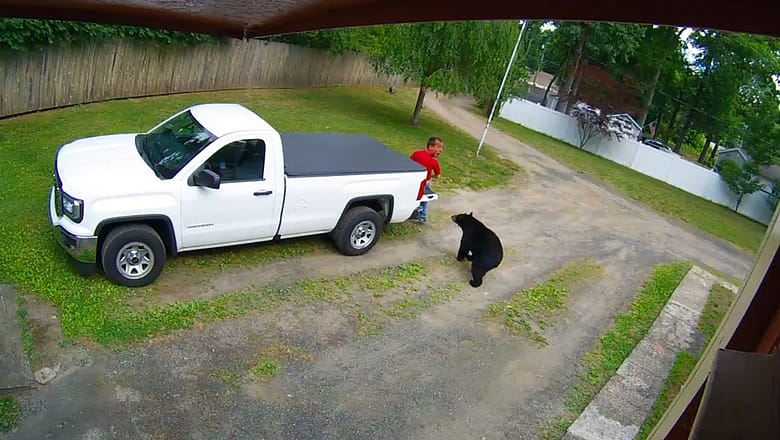 π΄ America’s Funniest Videos: Security Cam Shocks! π€£ 24/7