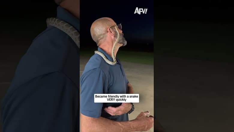 Became friendly with a snake VERY quickly