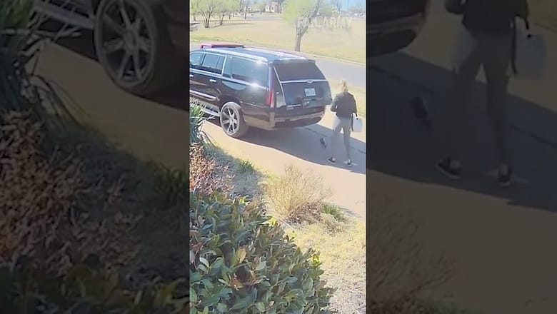 Caught on Camera!
