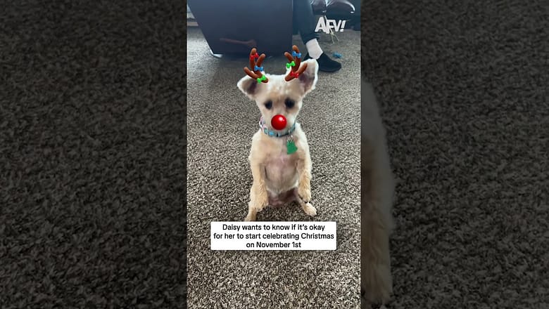 Daisy wants to know if it’s okay for her to start celebrating Christmas on November 1st