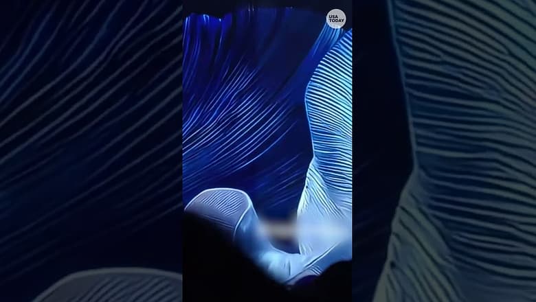 Miss Jamaica falls off Miss Universe stage #Shorts