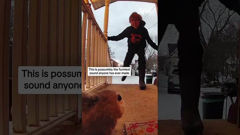 This is possumbly the funniest sound anyone has ever made