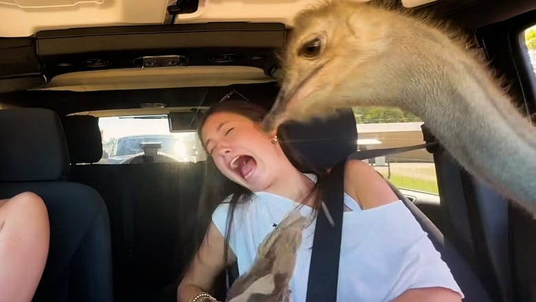 Unhinged Moments of Failure | Best Fails of the Week