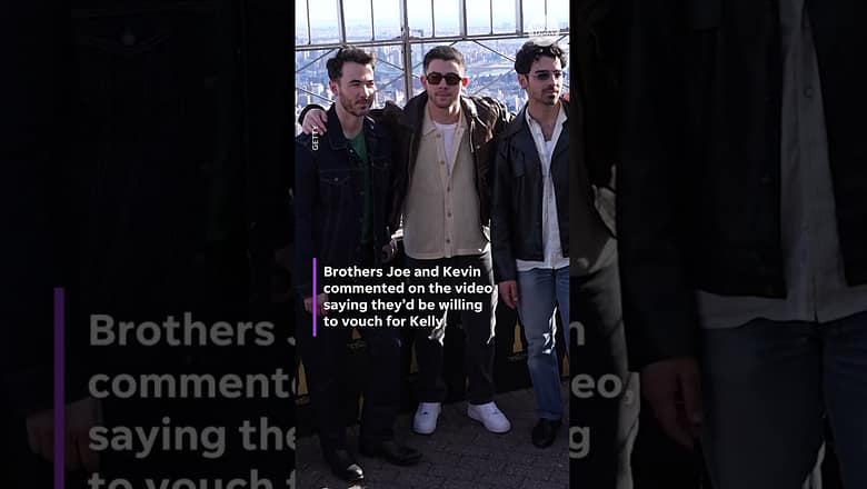 Who is Scott Kelly? See the viral resume gaining famous references like the Jonas Brothers