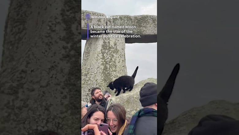 Cat steals the spotlight at Stonehenge winter solstice celebration