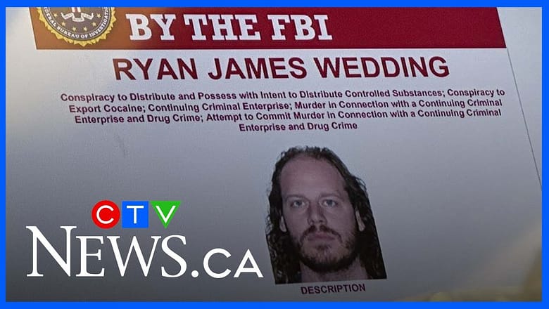 Lawyer for alleged Canadian drug kingpin Ryan Wedding granted bail