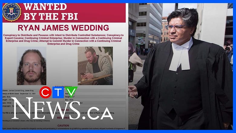 Lawyer in Ryan Wedding case granted $5.25 million bail