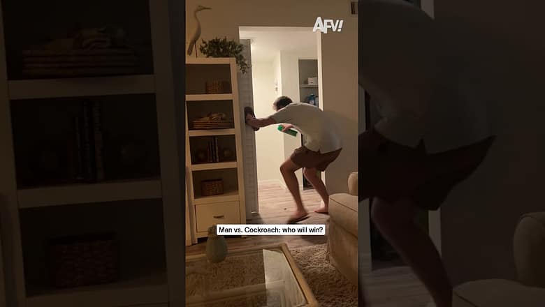 Man vs. Cockroach: who will win?