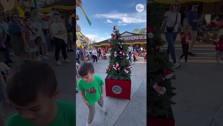 Meet Douglas Fir, the talking Christmas tree that’s delighting Disney guests