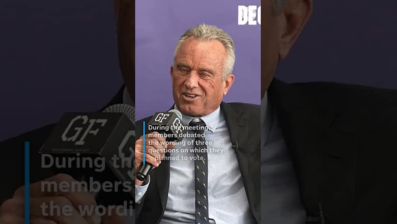 RFK Jr.’s vaccine panel delays hepatitis B shot vote after chaotic meeting