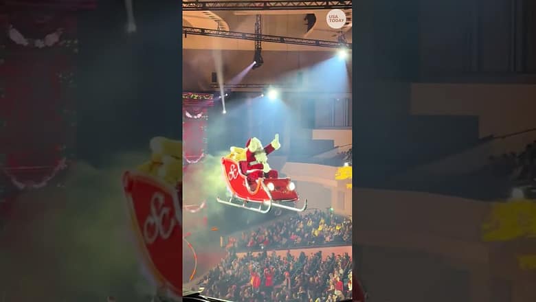 See viral Christmas program with live zebras, flying performers and more