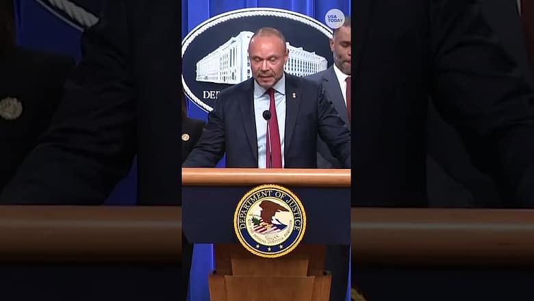 Who is Brian Cole Jr.? Feds identify DC pipe bomb suspect