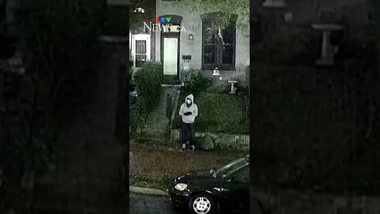 D.C. pipe bomb suspect to remain in custody