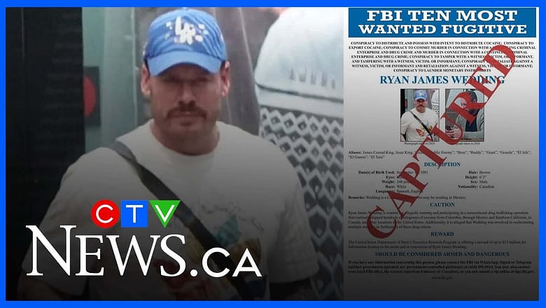 Ex-FBI agent on capture of drug kingpin Ryan Wedding and what comes next