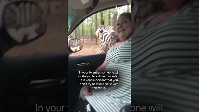 I think this zebra might be camera shy ๐ซฃ
