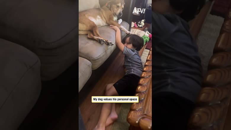My dog values his personal space