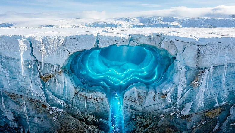 New Find in Antarctica Rewrites What We Know About Life on Earth