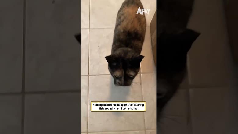 Nothing makes me happier than hearing this sound when I come home