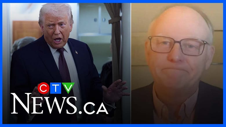 ‘Pretty disgusting’: Ret’d Maj.-Gen. criticizes Trump over Canadian military remarks
