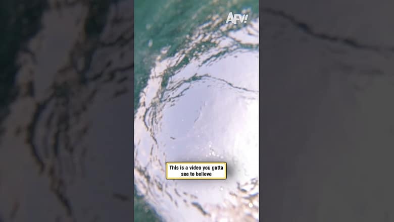 This is a video you gotta see to believe