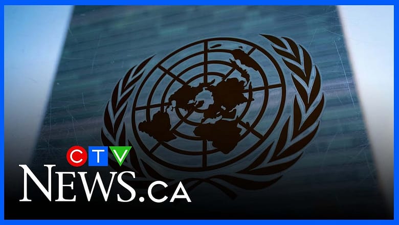 U.S. withdrawing from international orgs. is ‘enormous blow’ to cooperation: UN special rapporteur