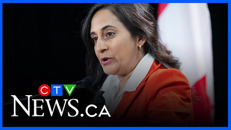 ‘We have a strategy for our Arctic’ | Anand asked about Canada’s stance on Greenland at WEF